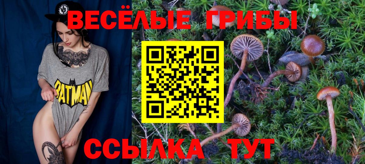 COCAIN  Бошки Шишки  Марихуана  A PVP СОЛЬ кристаллы  Меф МЯУ МЯУ  ГАШИШ  Вход с VPN  МЕФ кристаллы  Тайшет  Cocaine 