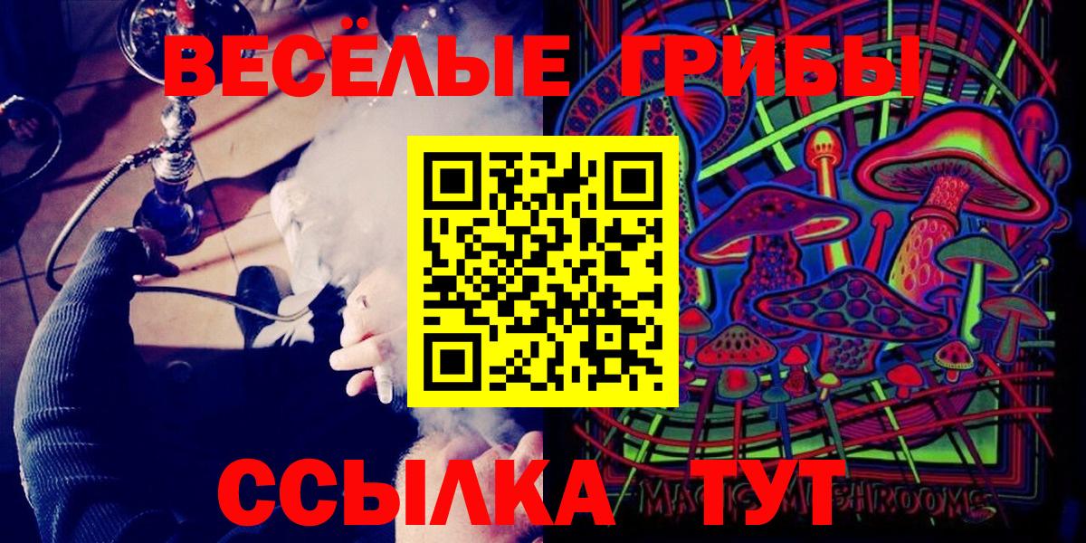 Псилоцибиновые грибы Psilocybine cubensis Тайшет